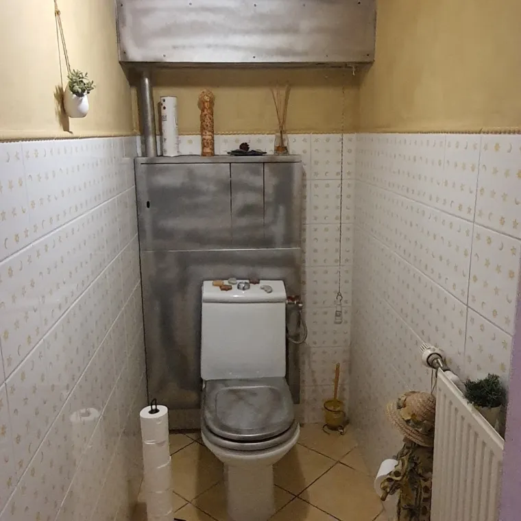 Réalisation de peinture décorative par NERI MAURO d'un WC à PERONNAS