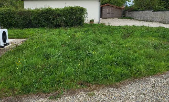 Terrain avant préparation