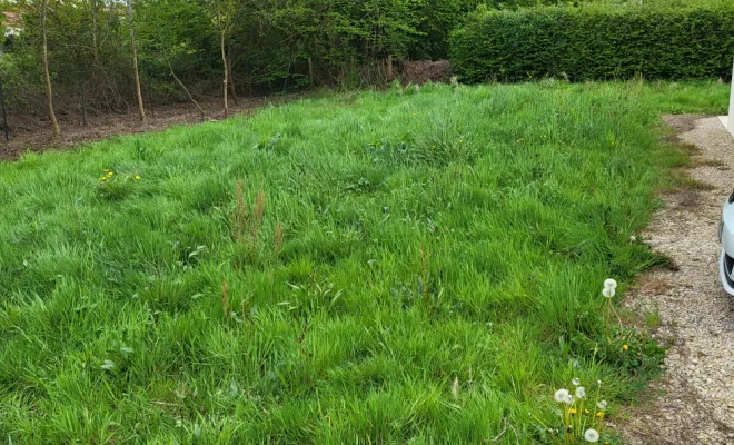 Terrain avant préparation