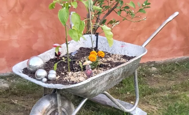Transformation d'une brouette en pot pour potager à Péronnas